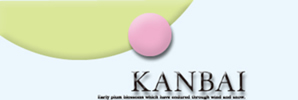 ���饹���ۤΡ�kanbai